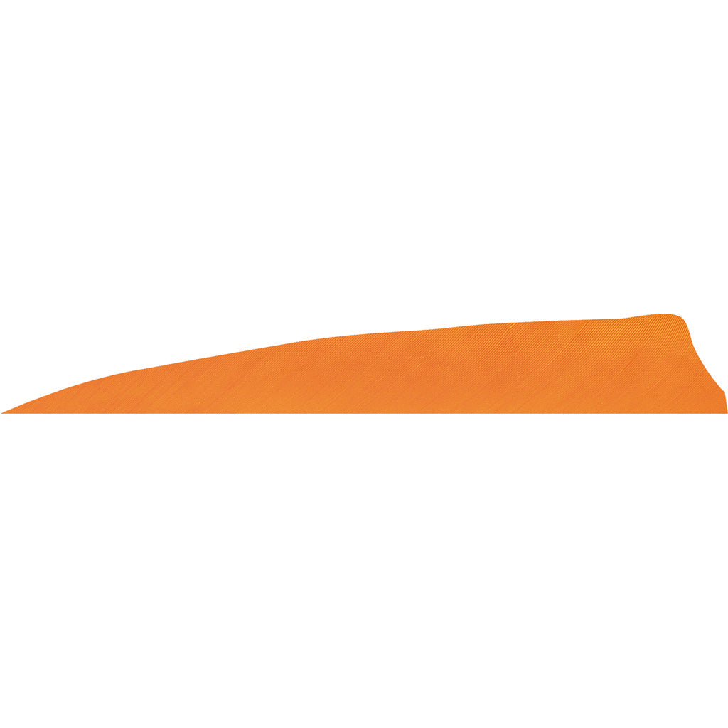 Gateway Shield Cut Feathers in Flo Orange 4 in. RW 50 pk. - Front View