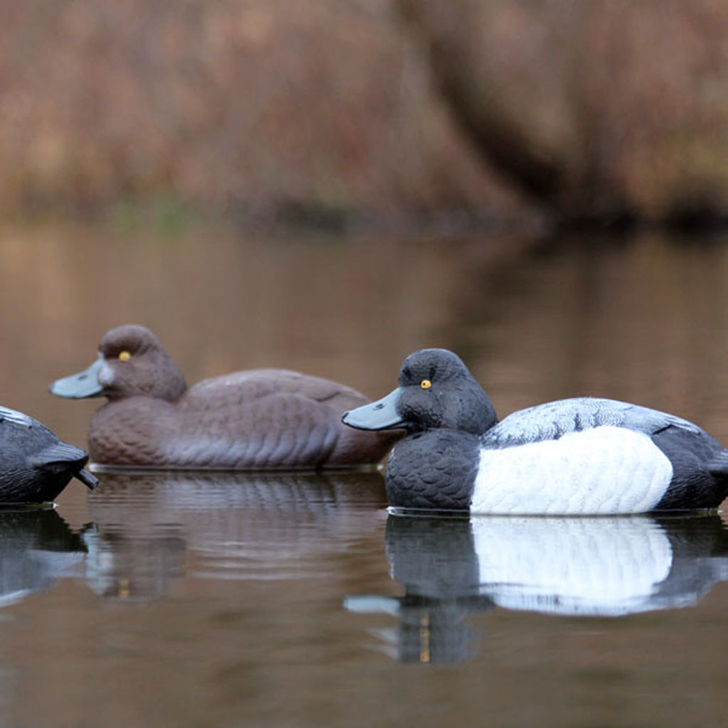 Flambeau Master Series Blue Bill Floater Decoys - Alternate View 2