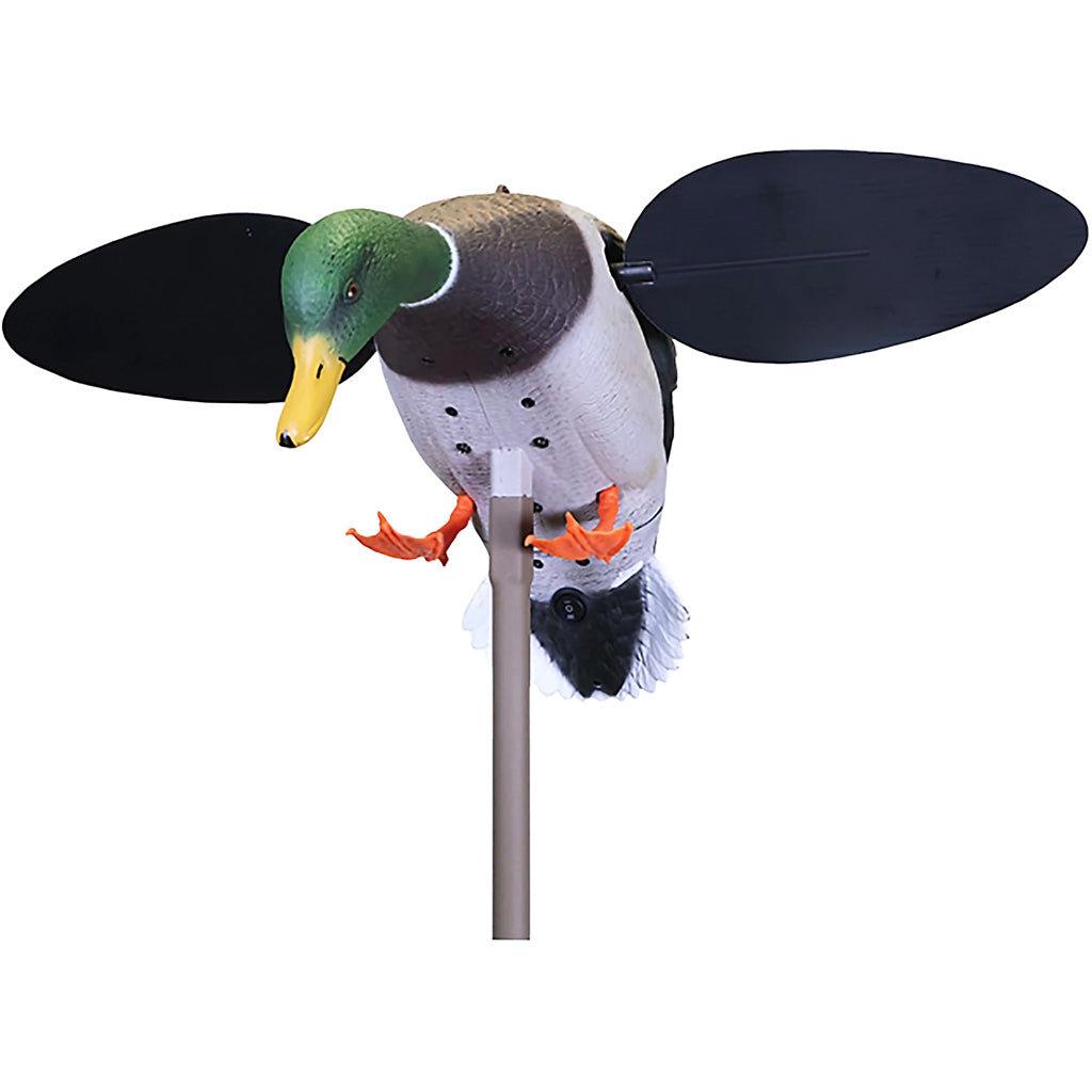 Mojo Outdoors Mojo Baby Drake 2.0 Decoy - Front View