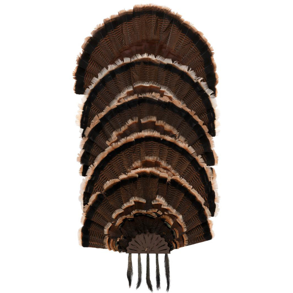 Allen EZ Mount Stacked Turkey Fan Mount - Alternate View 2