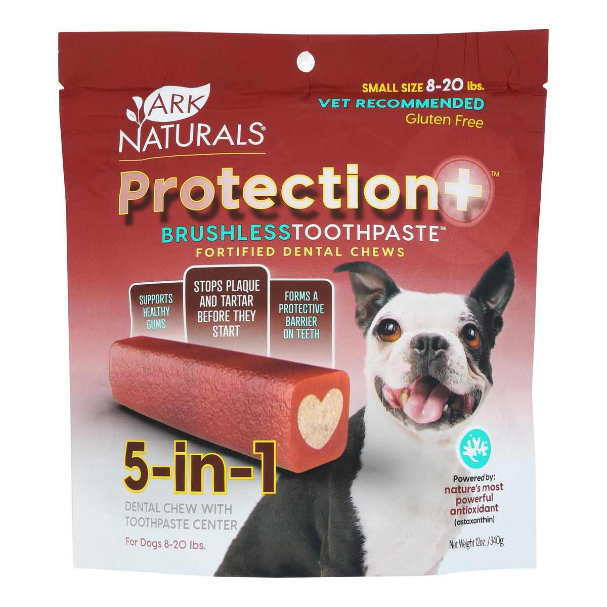 Ark Naturals Toothpaste Small Brushless + Protection - 12 Ounce - 1 Each