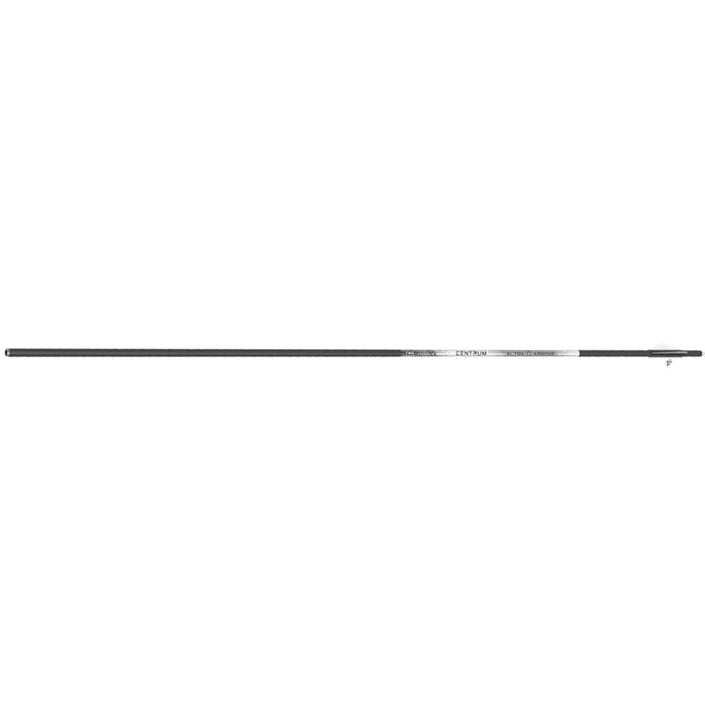 Altra Centrum 246 Premier Arrows in 300 - Front View
