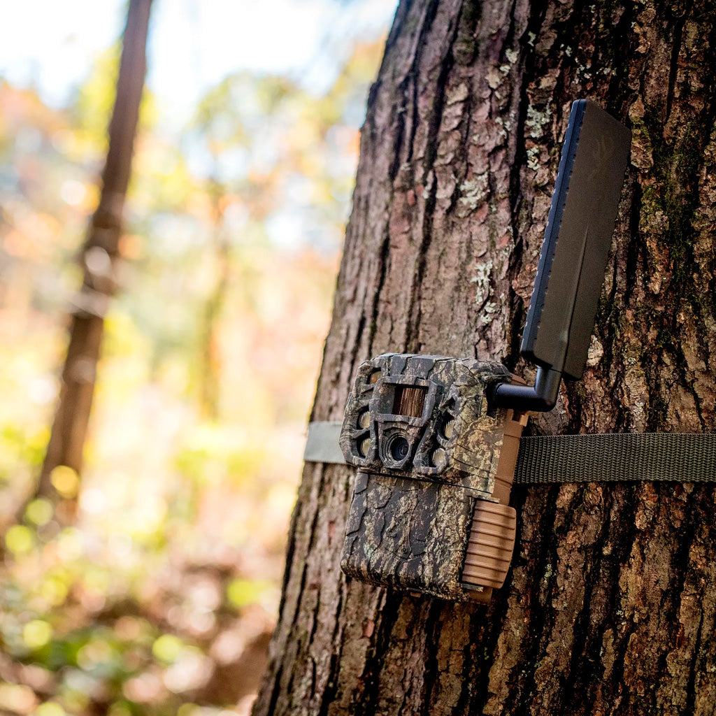 Browning Defender Vision Pro HD AI Cellular - Alternate View 2