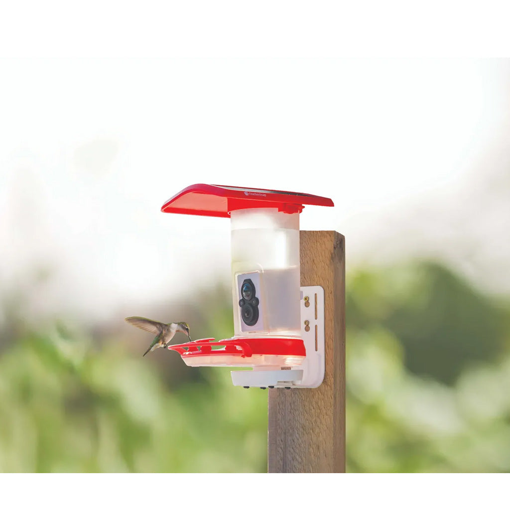 Tactacam FeatherSnap Hummingbird Feeder - Alternate View 1