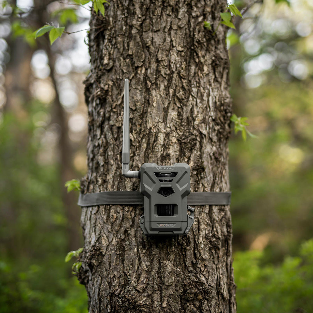 Spypoint Flex M2 Cellular Trail Camera - Alternate View 2
