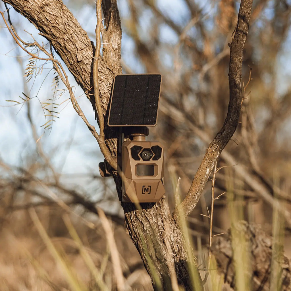 Moultrie Edge 4 Solar Cellular Trail Camera - Alternate View 3