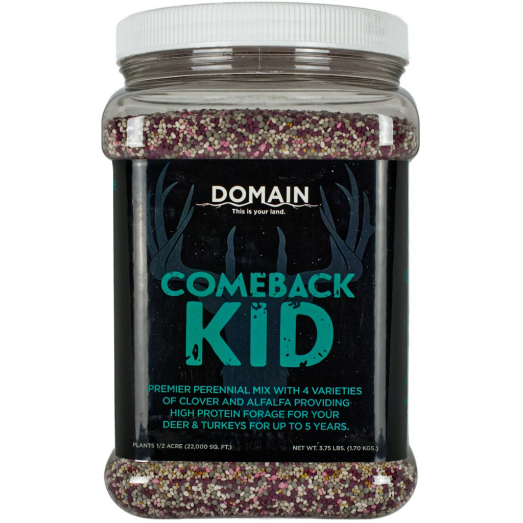 Domain Comeback Kid Seed - Front View