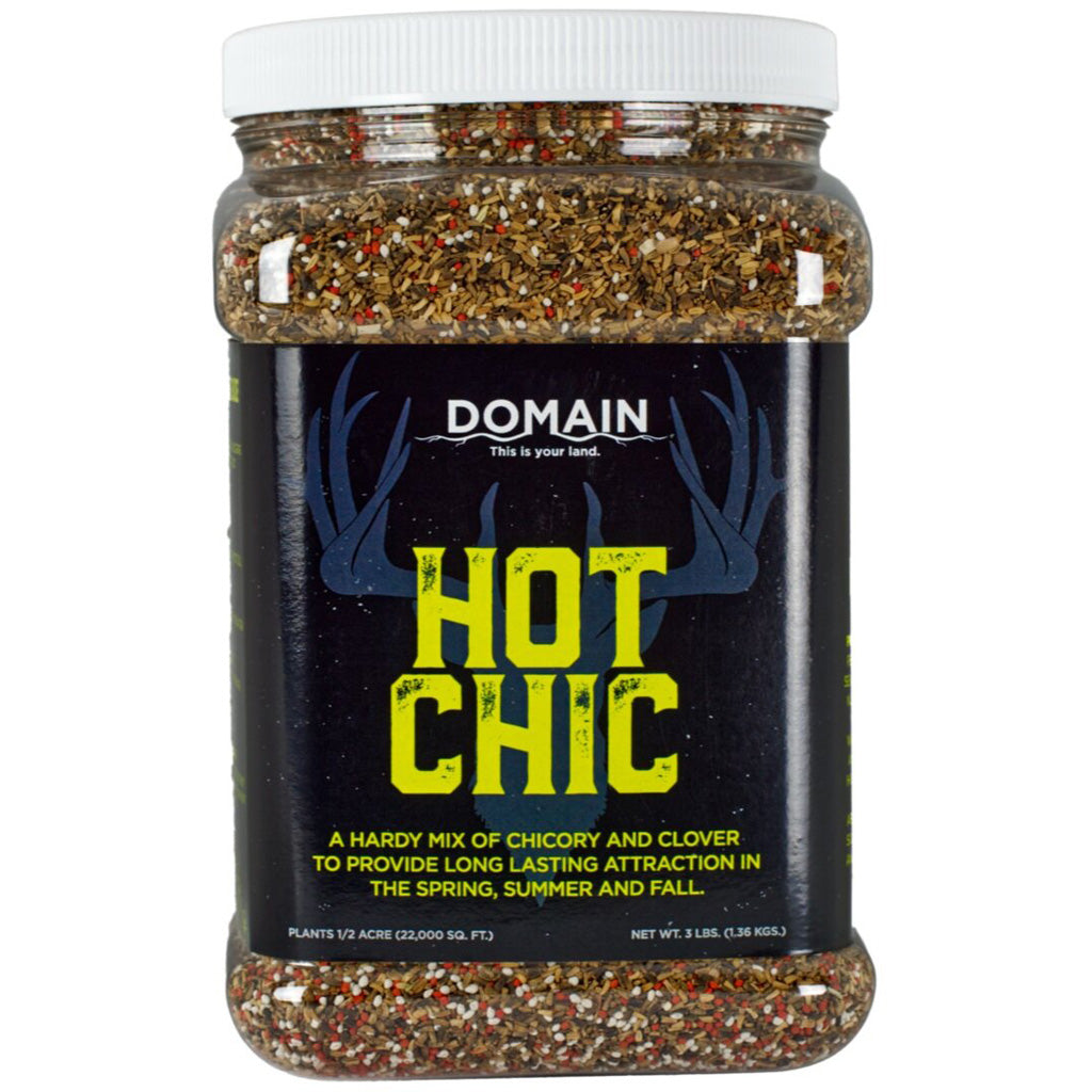 Domain Hot Chic Seed - Front View