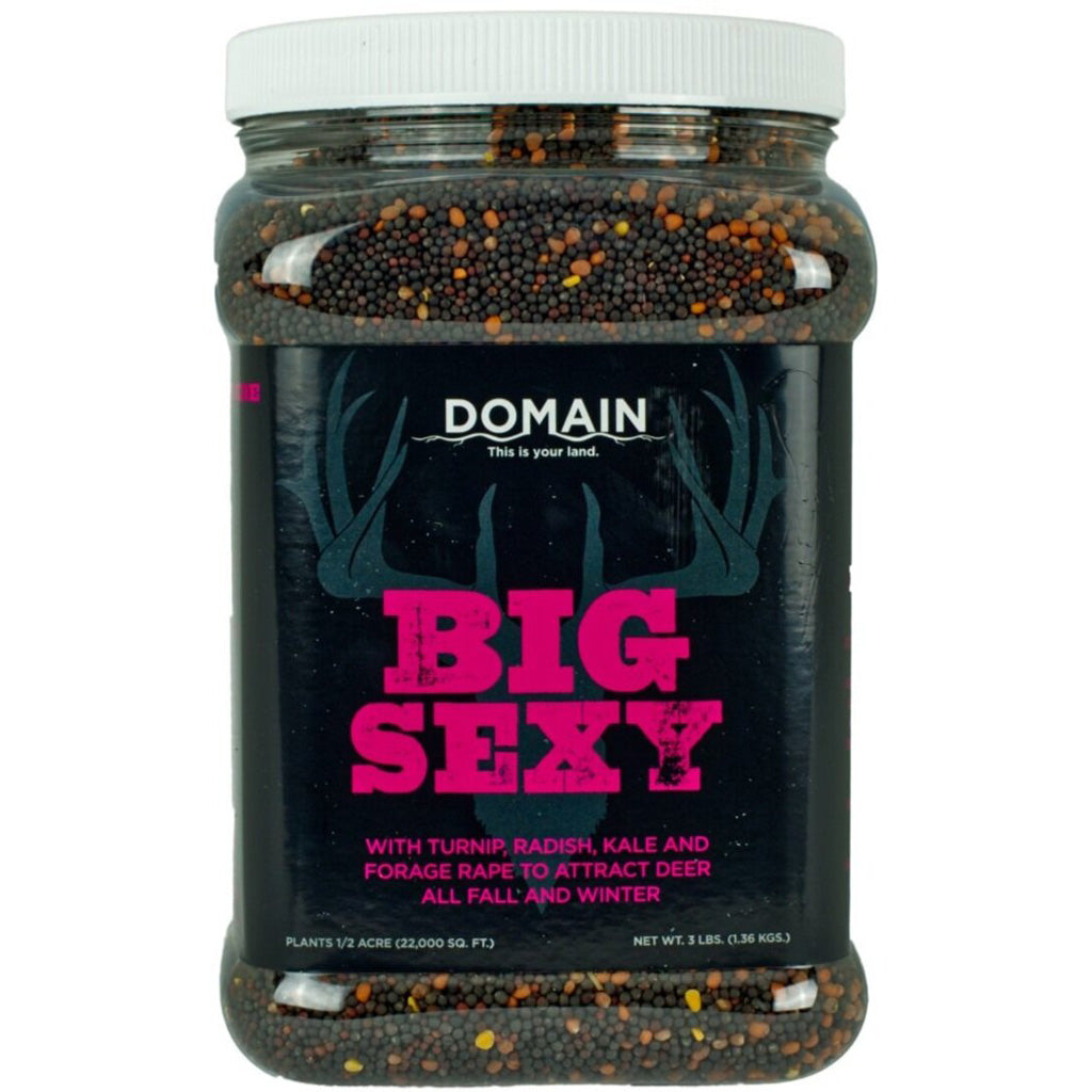 Domain Big Sexy Seed - Front View