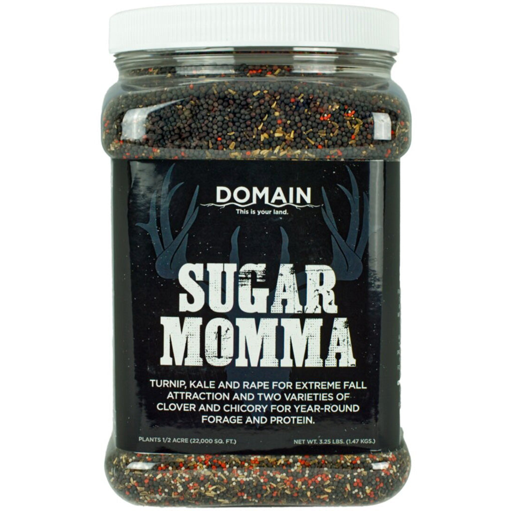 Domain Sugar Momma Seed - Front View