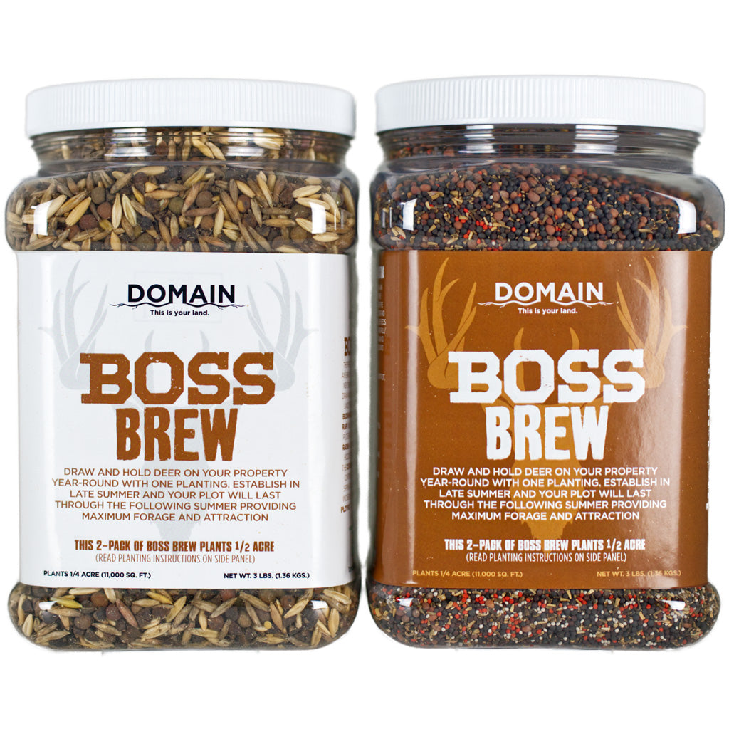 Domain Boss Brew Seed - Front View