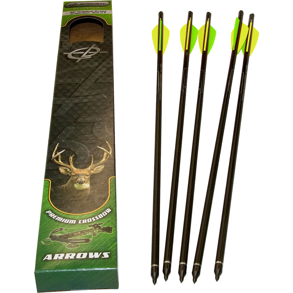 Barnett Head Hunter Carbon Crossbow Bolts in 22 in. 5 pk. - Front View