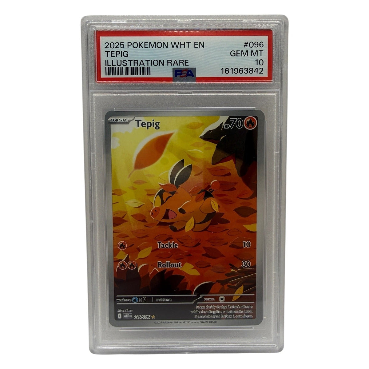 2025 Pokémon White Flare Tepig Illustration Rare #096 PSA 10 GEM MINT