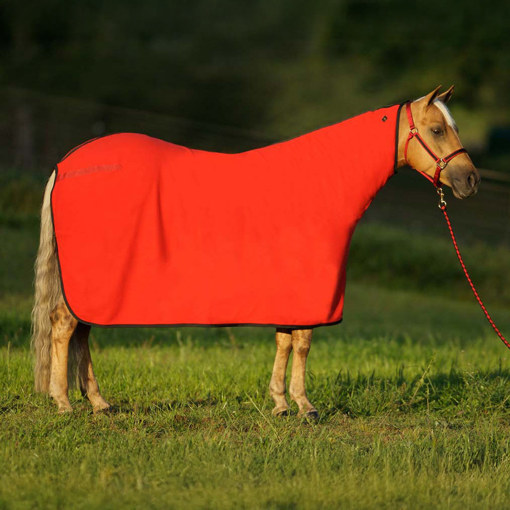 Big D Polar Fleece Cooler