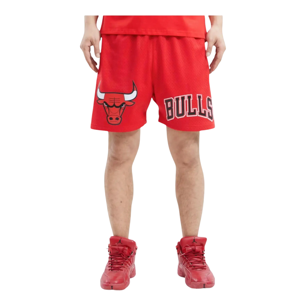 Pro Standard NBA Chicago Bulls Logo Mesh Men's Shorts — Red