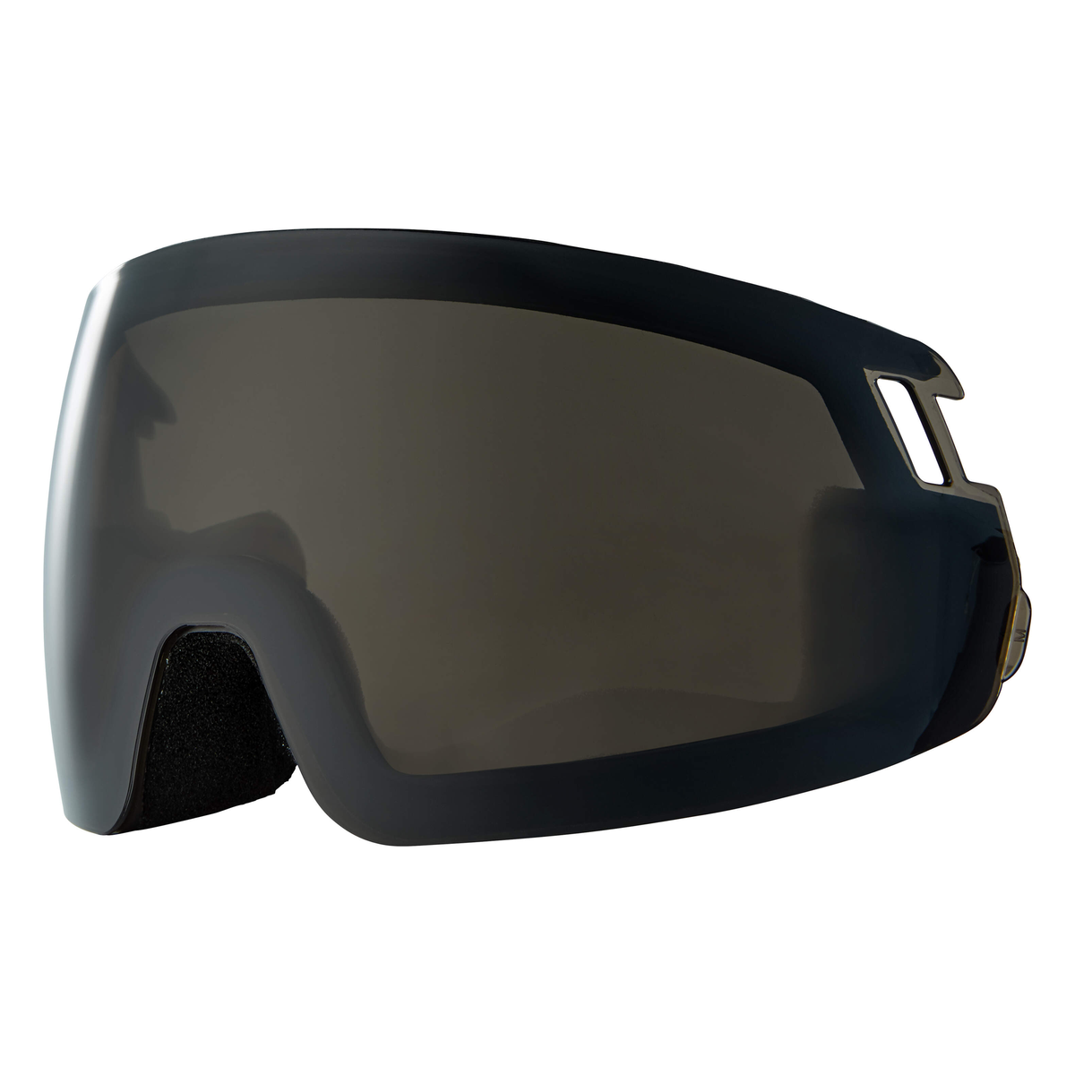 Head RADAR / RACHEL LENS black Ski & Snowboard Goggles - official product view