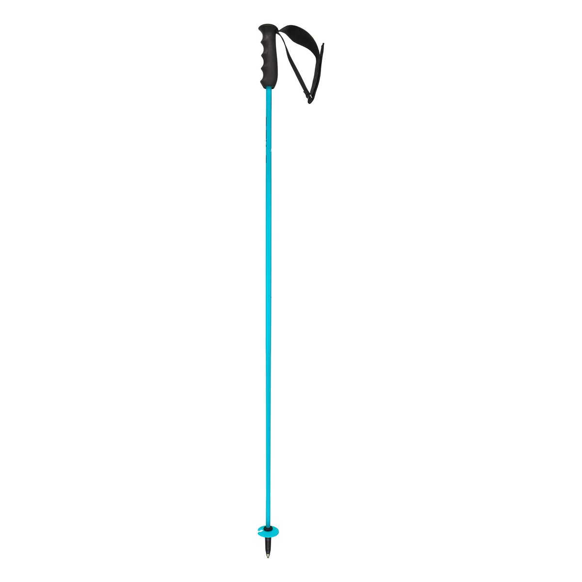 Head Worldcup Rebels Carbon speed blue Ski Poles - official product view