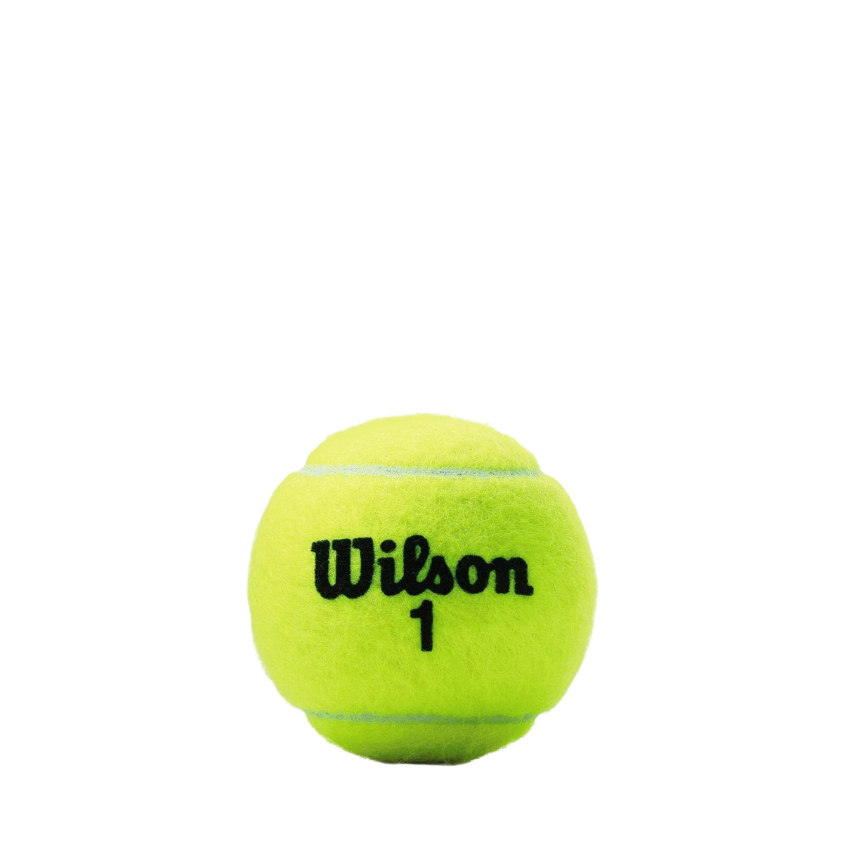 Wilson Championship Extra Duty 3 Ball Can (24 Pack)