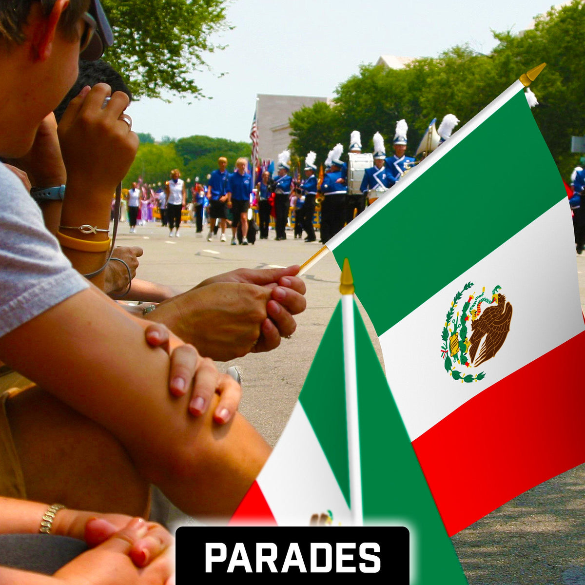G128 12 Pack Handheld Mexico Mexican Stick Flags, 12x18 In, Printed 150D Polyester, Country Flag, Solid Wooden - View 5