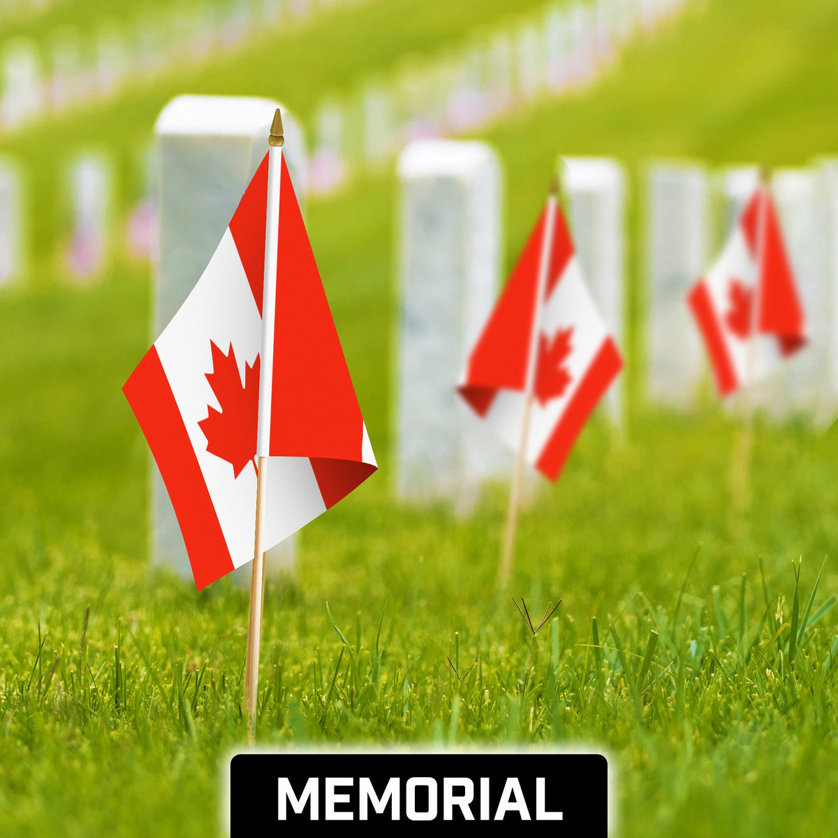 G128 24 Pack Handheld Canada Canadian Stick Flags, 12x18 In, Printed 150D Polyester, Country Flag, Solid - View 4