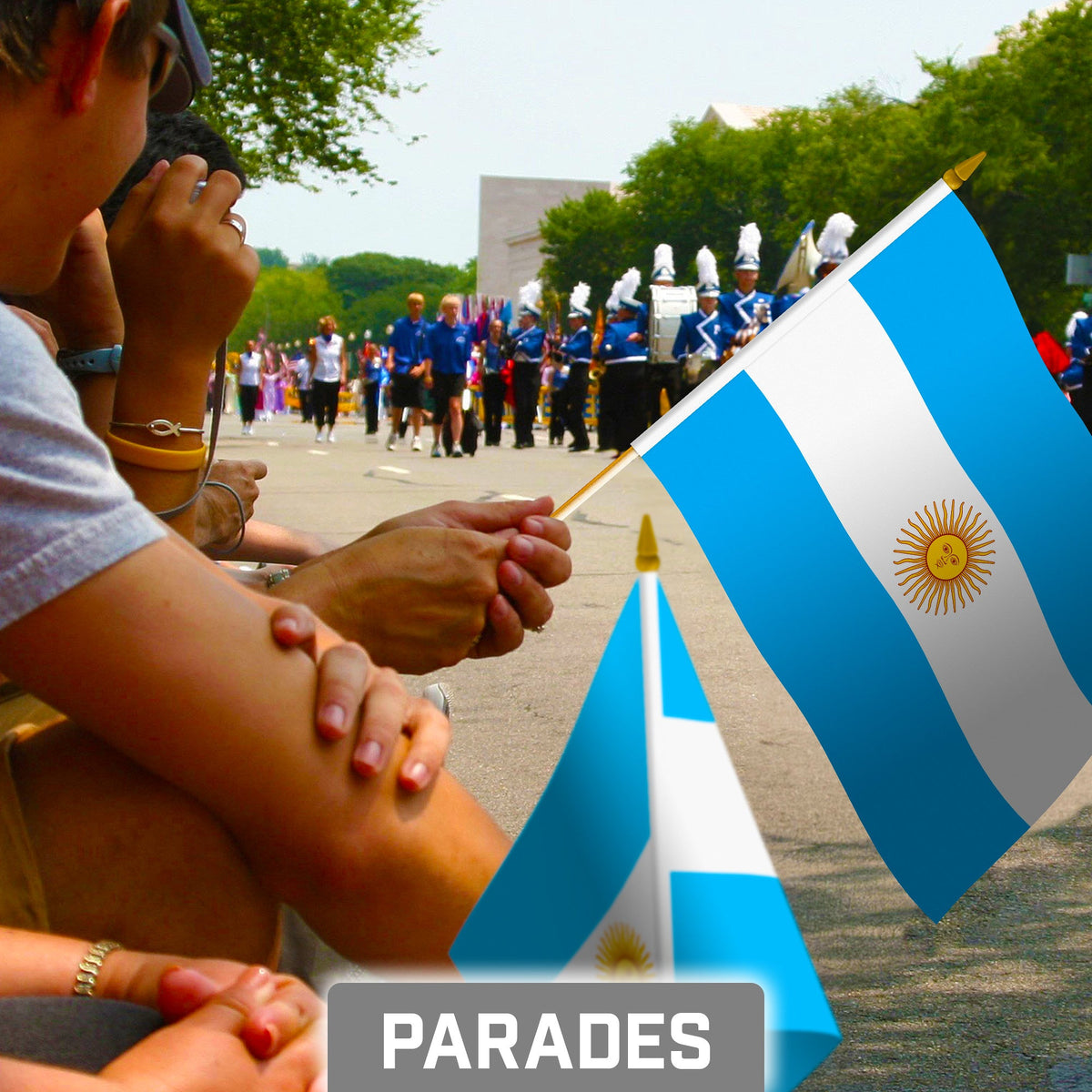G128 12 Pack Handheld Argentina Argentinian Stick Flags, 8x12 In, Printed 150D Polyester, Country Flag, Solid - View 5
