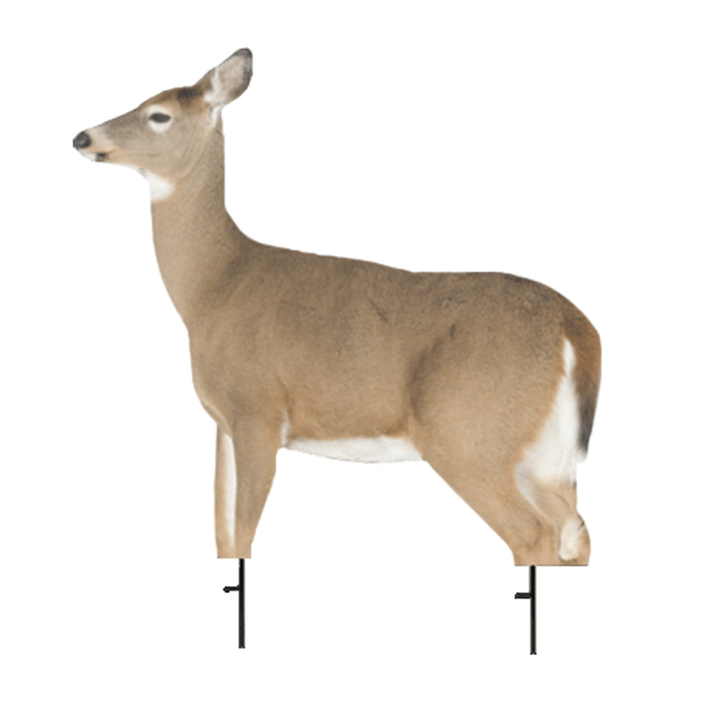 Montana Decoy Whitetail Dreamy Doe Decoy - Front View