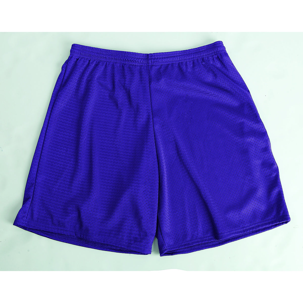 Martin Sports Tricot Mesh Shorts, 2 Ply Polyester in Purple Adult 2XL - Front View