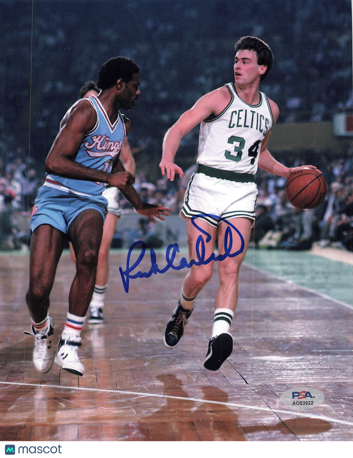 Rick Carlisle Boston Celtics Signed Basketball 8x10 Photo PSA