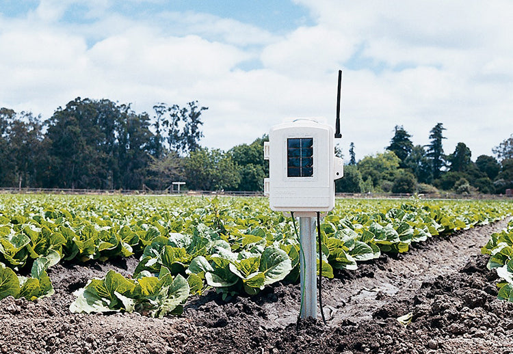 Wireless Leaf & Soil Moisture/Temperature Station - SKU 6345
