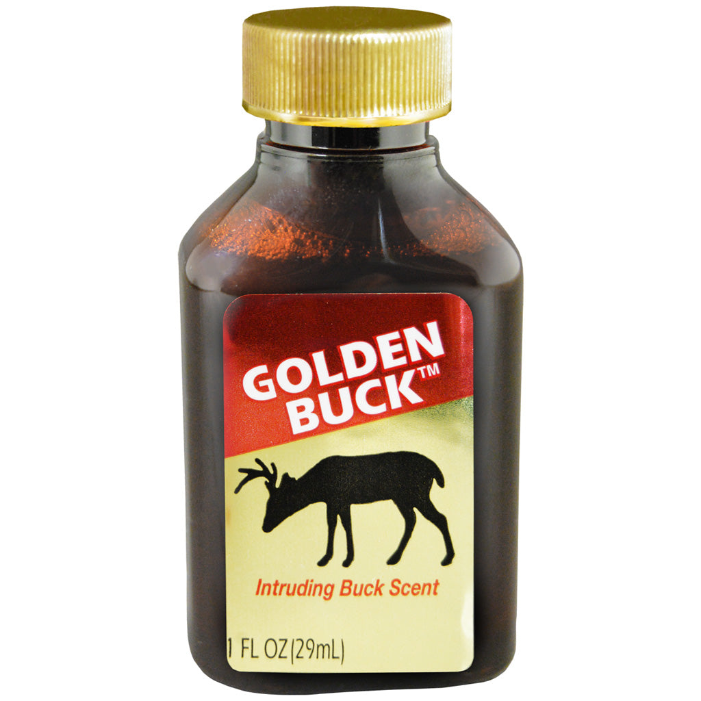 Wildlife Research Golden Buck - Front View