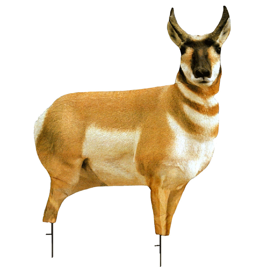 Montana Decoy Antelope Buck - Front View