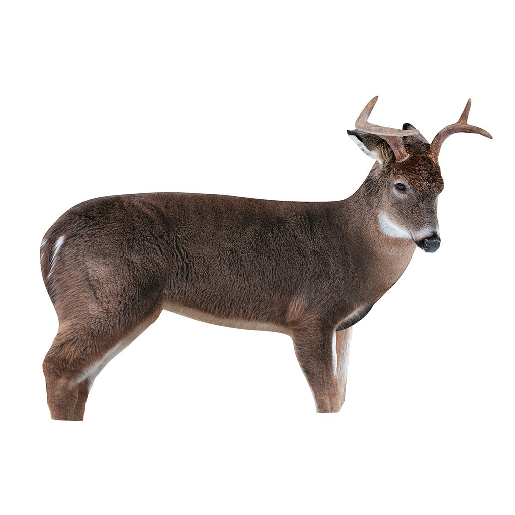 Montana Decoy The Freshman Buck Decoy - Front View
