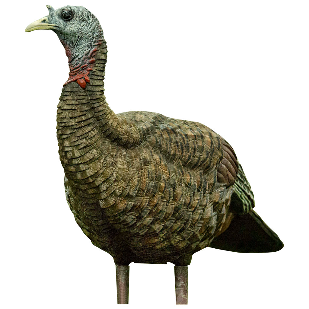 Avian-X Avian X Lookout Turkey Decoy - Alternate View 1