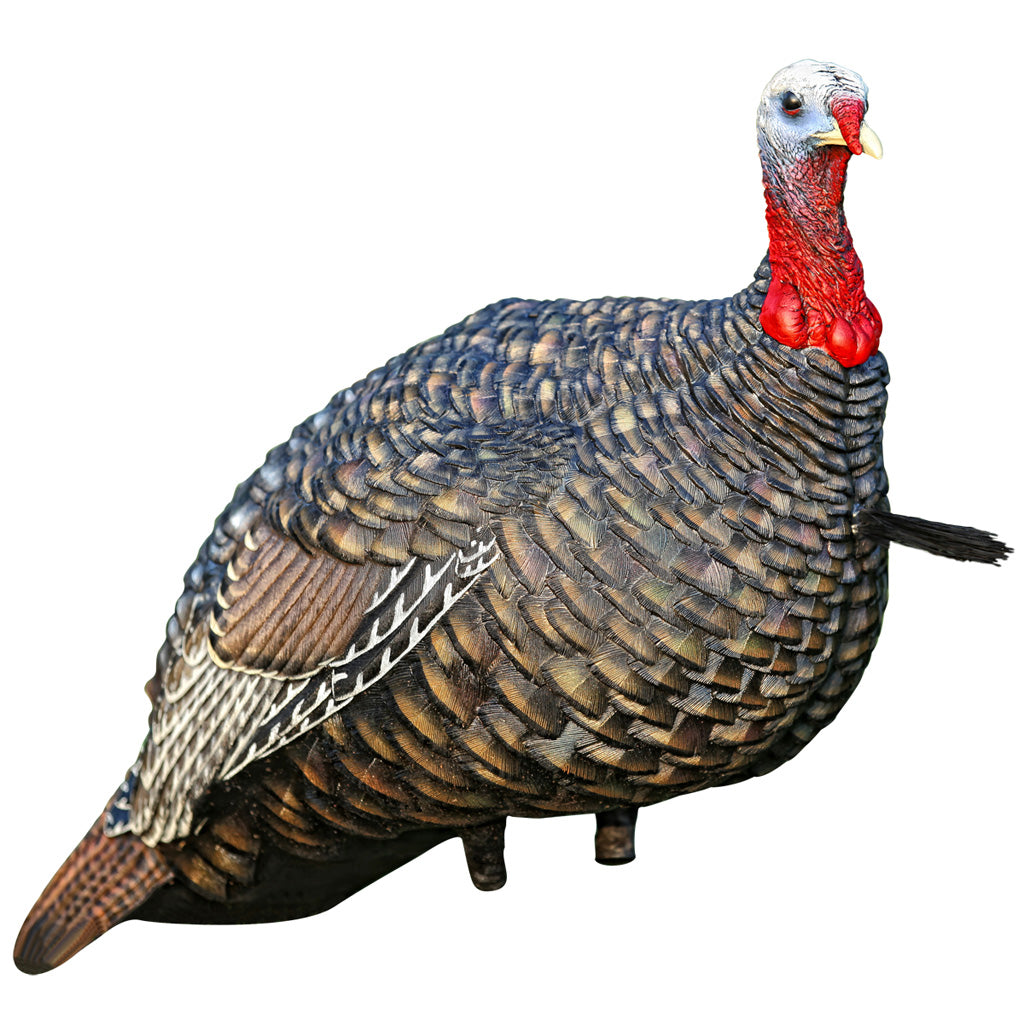 Avian-X Avian X Quarter Strut Jake Turkey Decoy - Front View