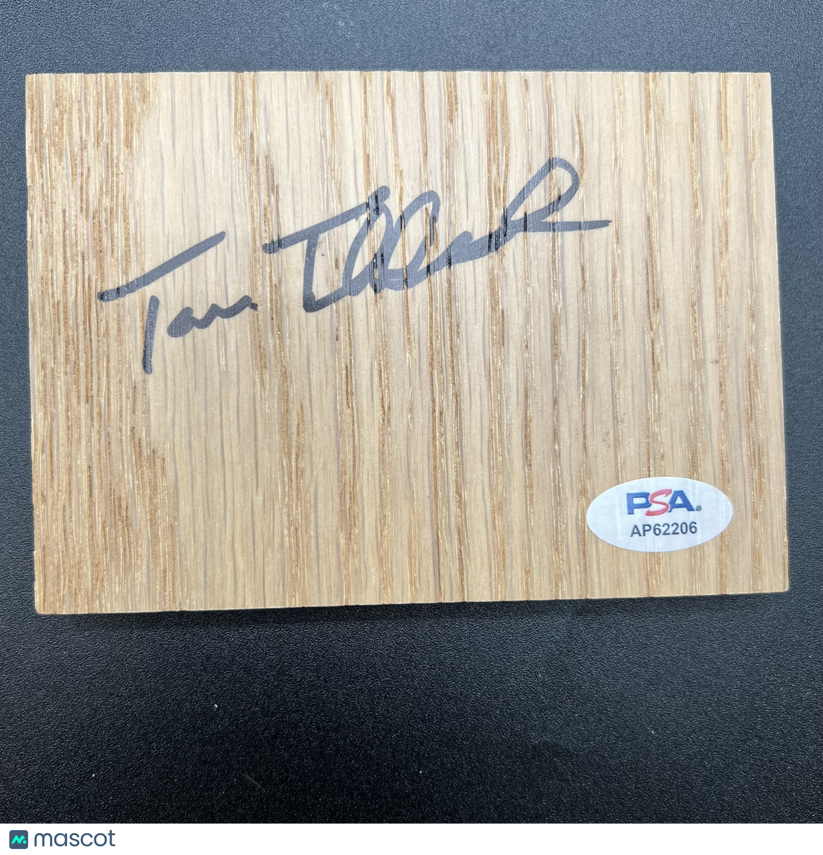 Tom Thibodeau Signed Floorboard PSA Autographed NBA Coach