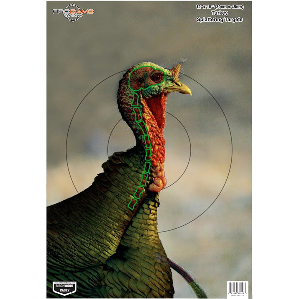 Birchwood Casey Pregame Turkey Target - Front View