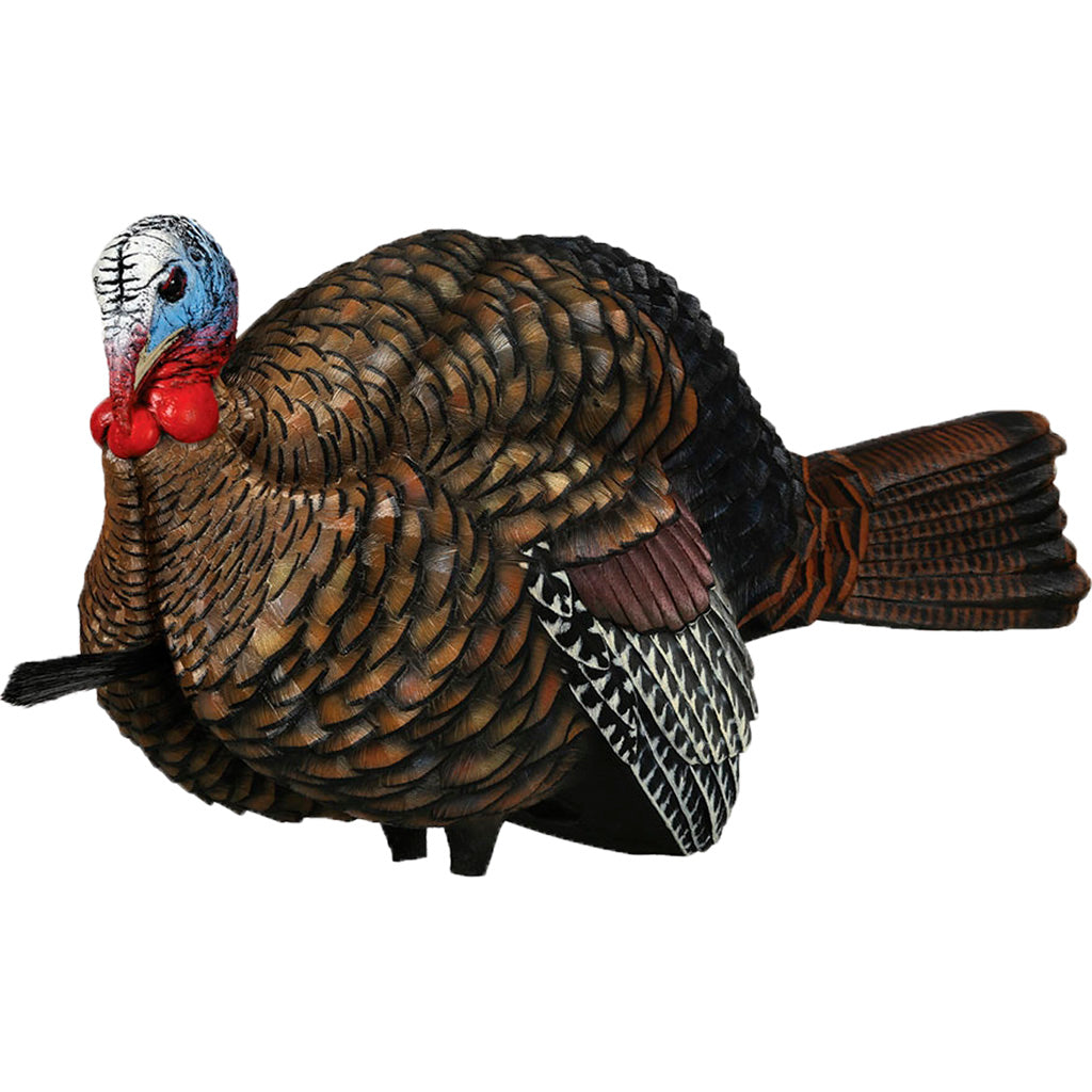 Avian-X Avian X 1/2 Strut Jake Turkey Decoy - Front View