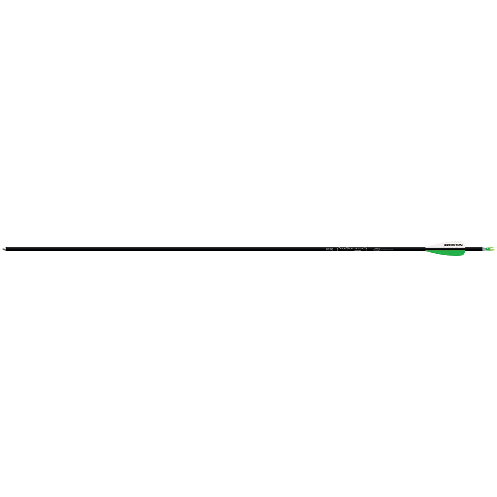 Easton Genesis Arrows in Black 1820 6 pk. - Front View