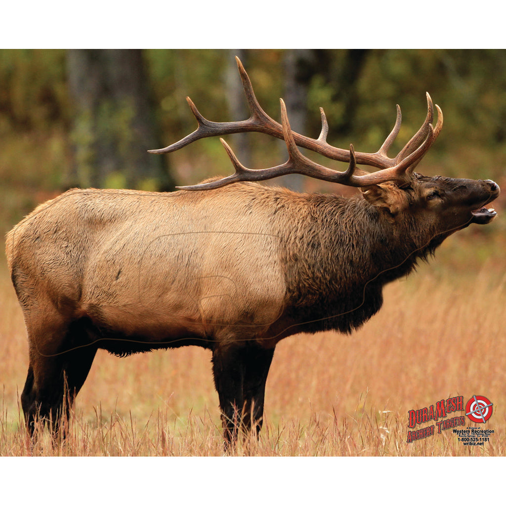 DuraMesh Archery Target in Elk 1 25 in. x 32 in. - Front View