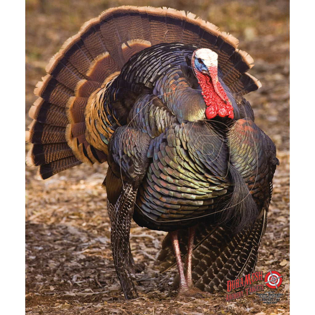 DuraMesh Archery Target in Turkey 3 32 in. x 25 in. - Front View