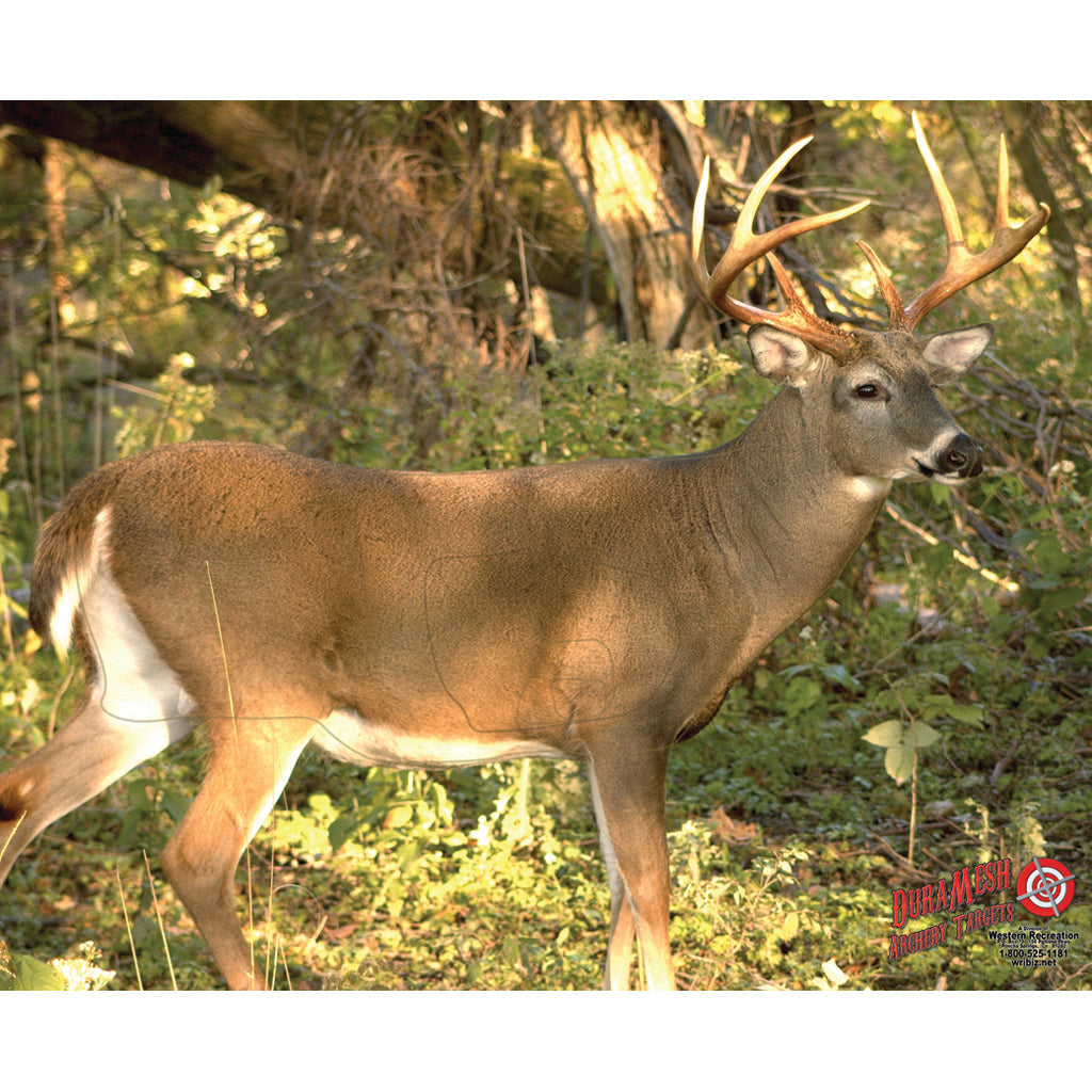DuraMesh Archery Target in Whitetail 3 25 in. x 32 in. - Front View