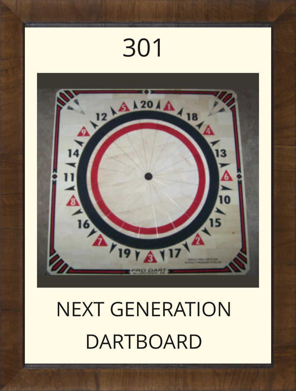 Pro Dart 301 Next Gen Dartboard - Black / Red
