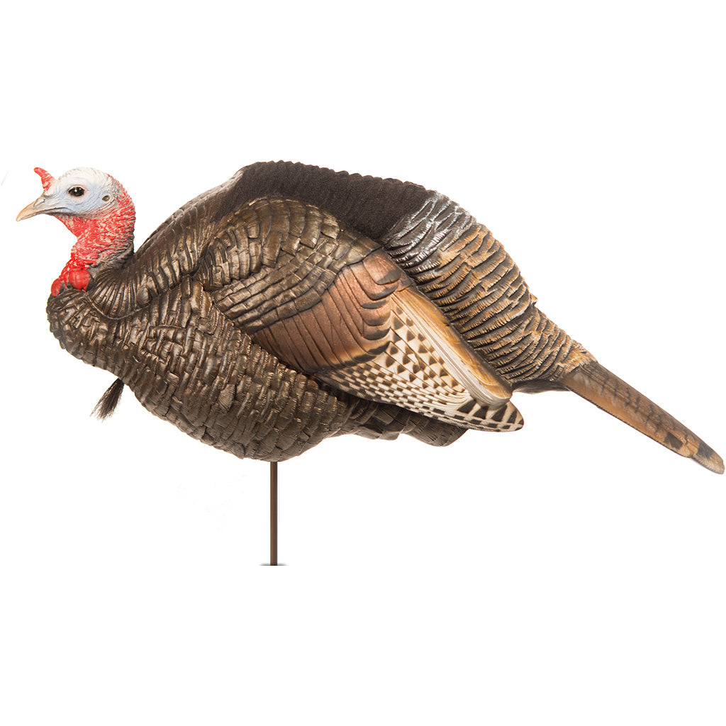 Dave Smith Decoys 3/4 Strut Jake Decoy - Front View