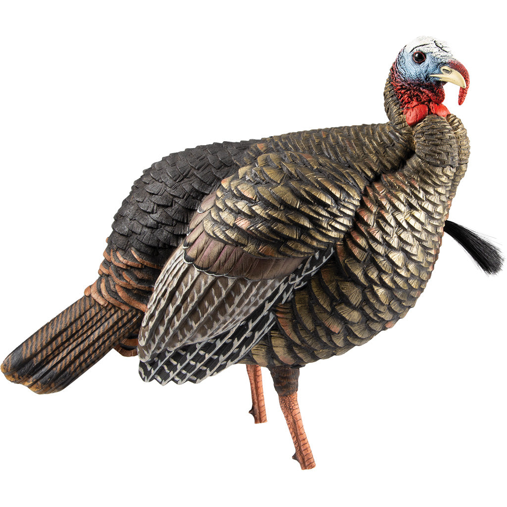Avian-X Avian X HDR Jake Decoy - Front View