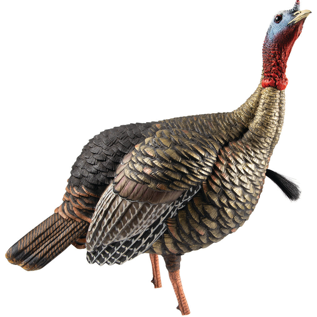 Avian-X Avian X HDR Jake Decoy - Alternate View 1