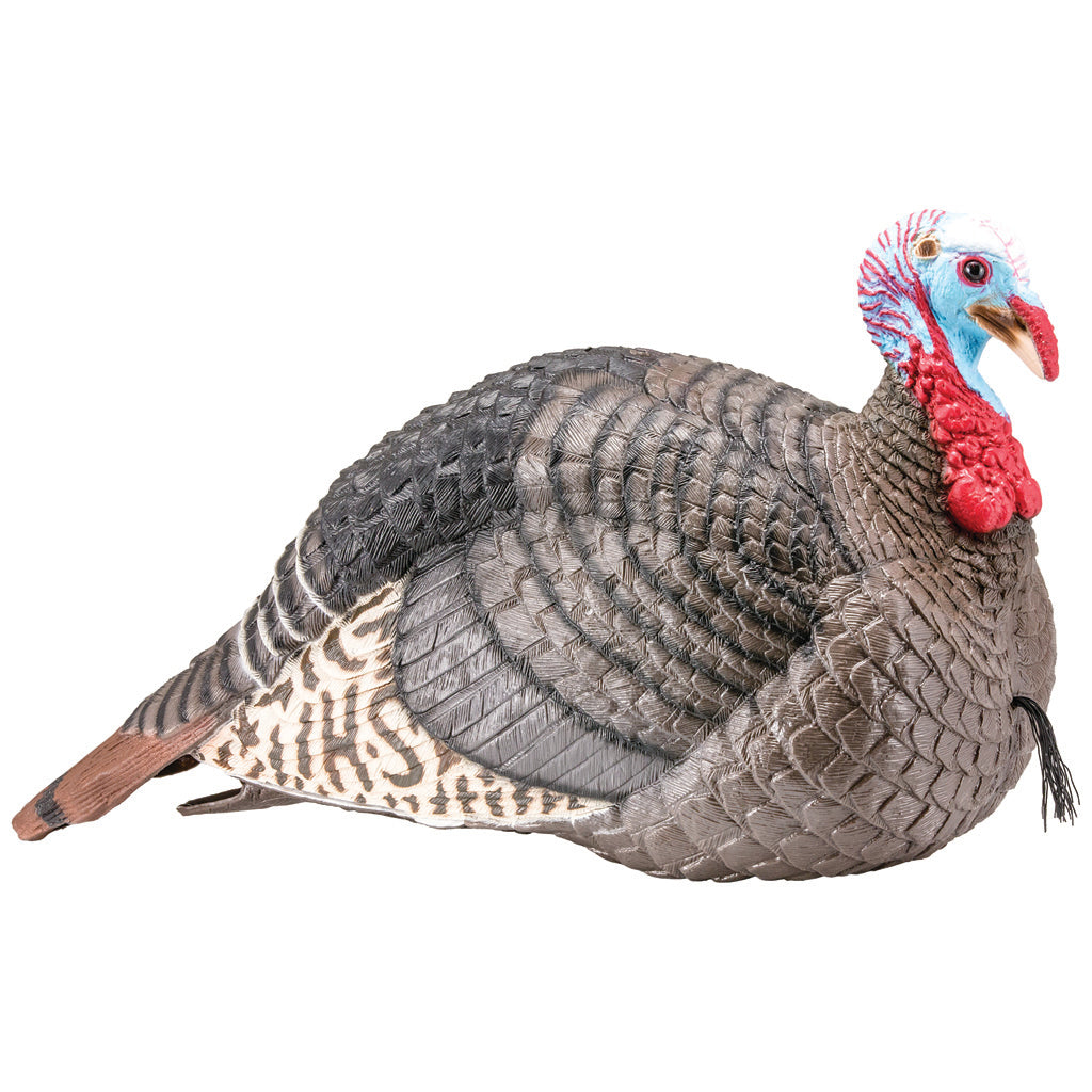 Hunters Specialties Strut-Lite Turkey Decoy in Jake - Front View