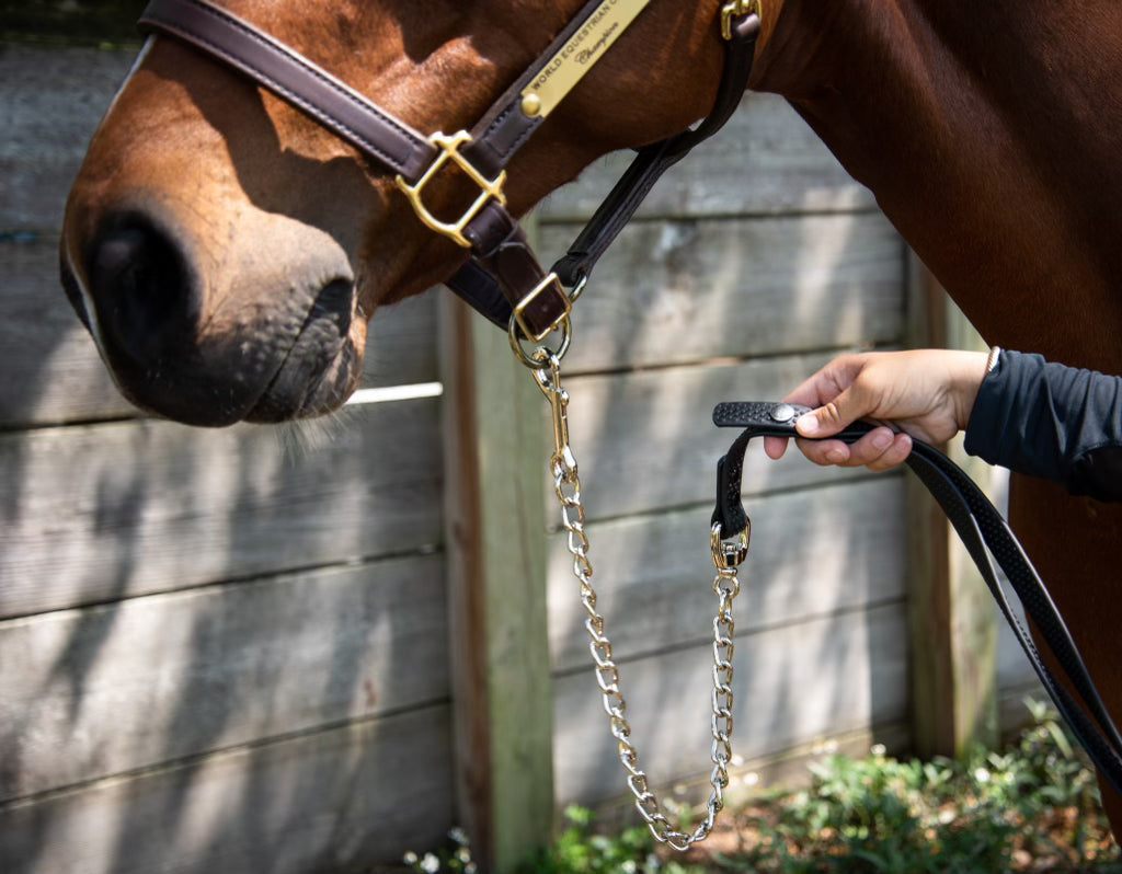 PRO4MANCE | Com4rt Grip Horse Lead w/ Chain
