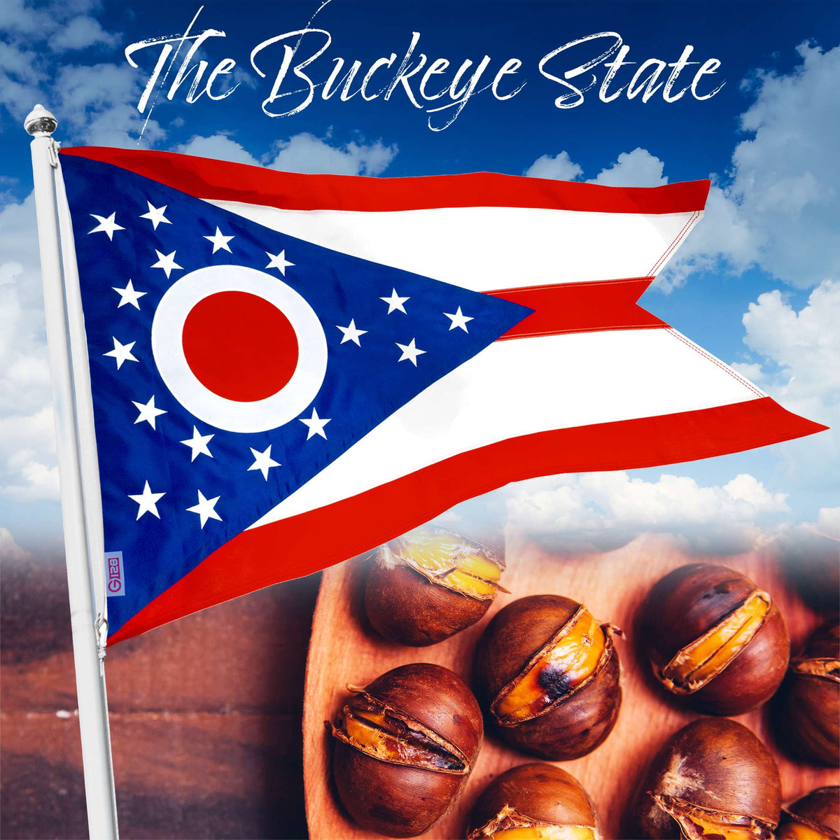 G128 Ohio OH State Flag, 2x3 Ft, StormFlyer Series Embroidered 220GSM Spun Polyester, Embroidered Design - View 9
