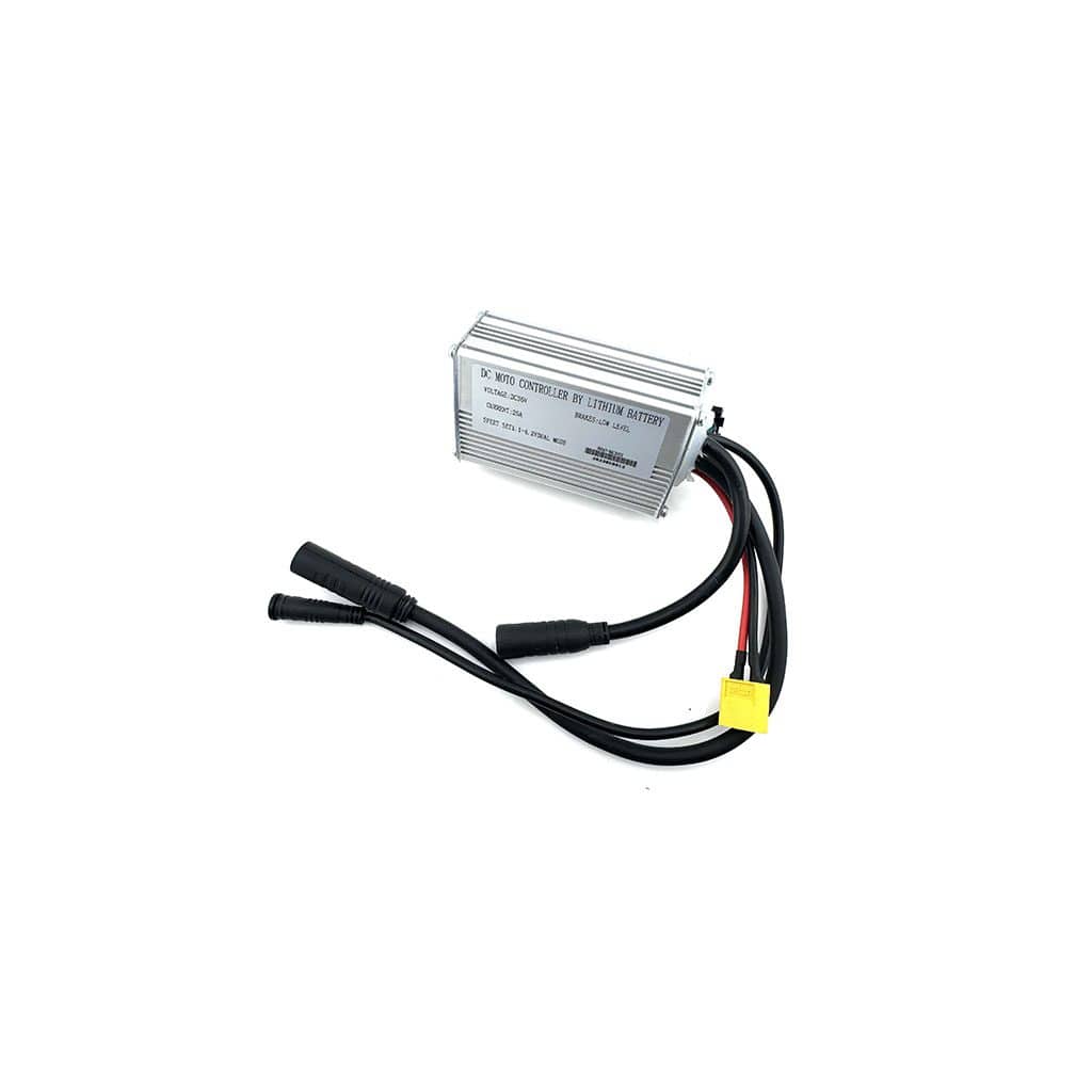 e20x Controller 18a, 48v (X-Model Only)