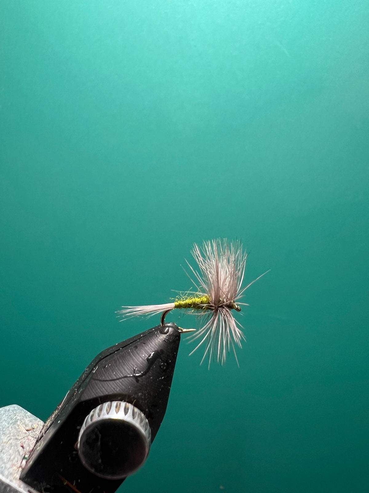 Blue Wing Olive